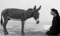 Marina Abramović’in Şiddetle İmtihanı, veya Bir Saldırganın Sanatla İmtihanı